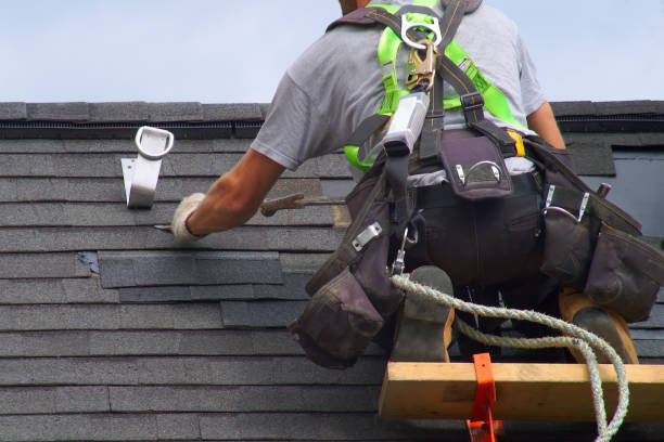 Best Local Roofing Companies  in Andalusia, IL