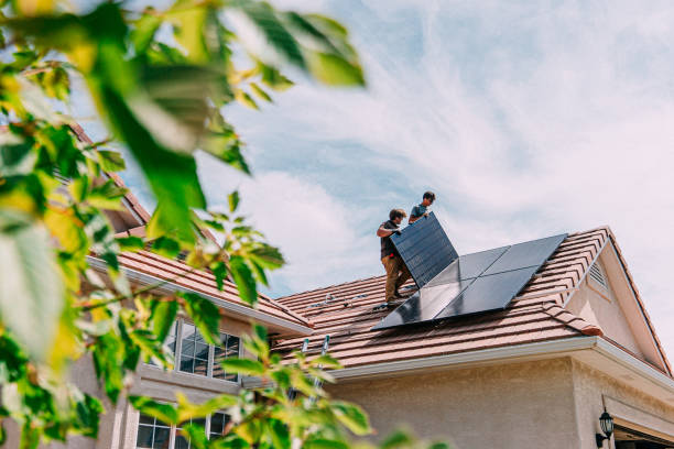 Best Roof Gutter Cleaning  in Andalusia, IL