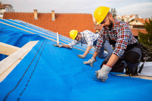 Best Flat Roof Repair Services  in Andalusia, IL